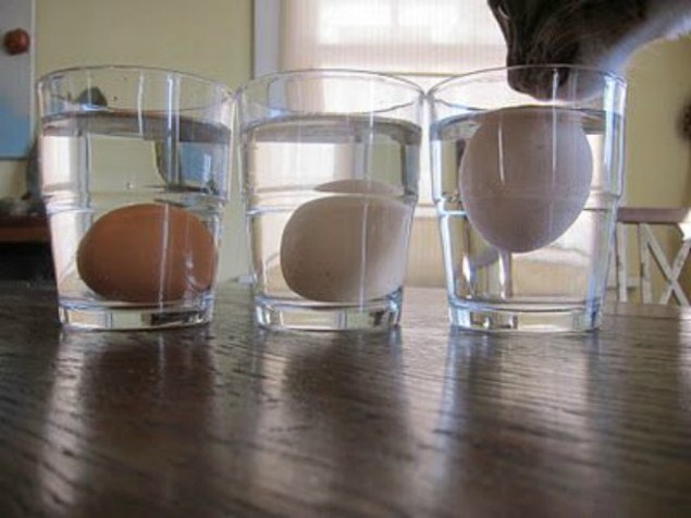 Thử trứng